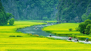 Vietnam Hight