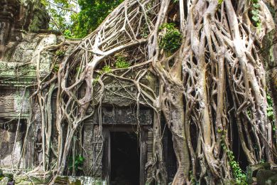 Cambodia Tours